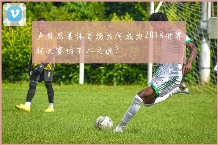 卢日尼基体育场为何成为2018世界杯决赛的不二之选?