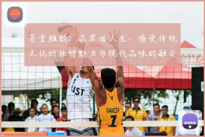 茶堂雅韵:品茗话人生,感受传统文化的独特魅力与现代品味的融合