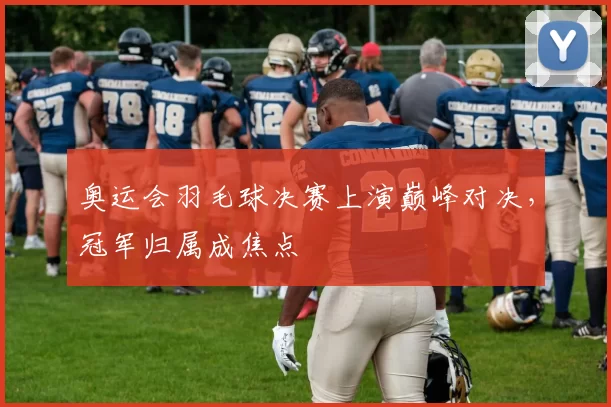 奥运会羽毛球决赛上演巅峰对决，冠军归属成焦点