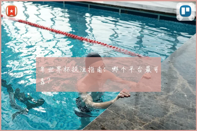 年世界杯投注指南：哪个平台最可靠？