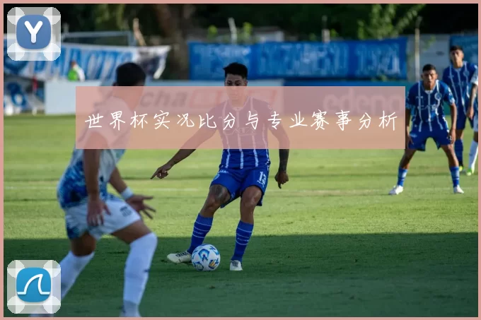 世界杯实况比分与专业赛事分析