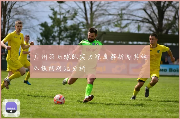 广州羽毛球队实力深度解析与其他队伍的对比分析