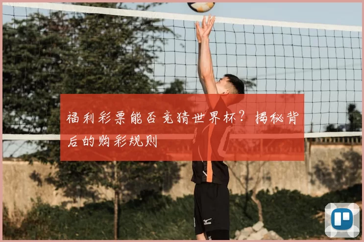 福利彩票能否竞猜世界杯?揭秘背后的购彩规则