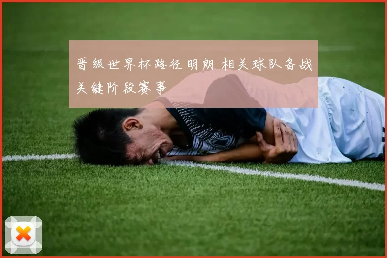 晋级世界杯路径明朗 相关球队备战关键阶段赛事
