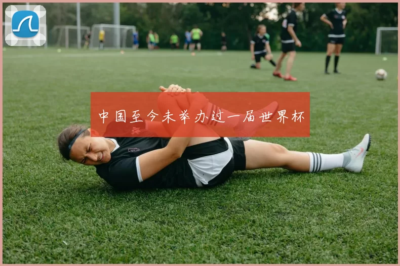中国至今未举办过一届世界杯