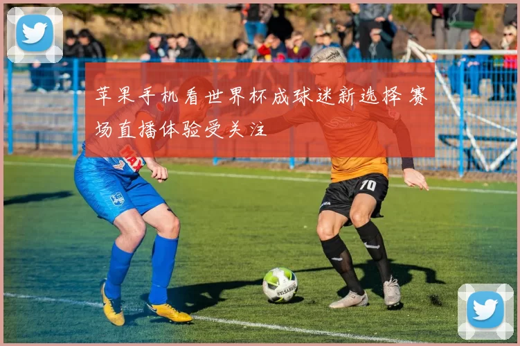 苹果手机看世界杯成球迷新选择 赛场直播体验受关注