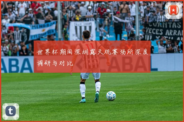 世界杯期间深圳露天观赛场所深度调研与对比