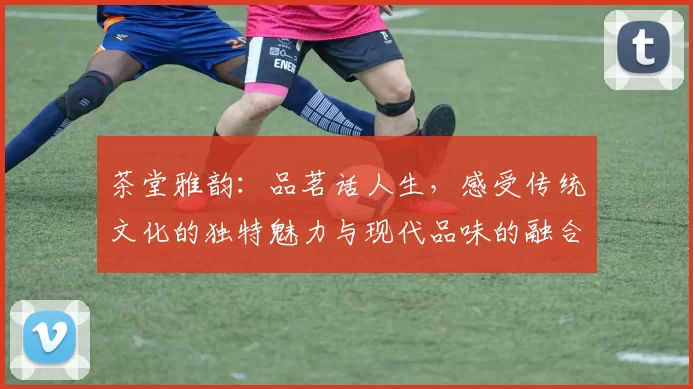 茶堂雅韵：品茗话人生，感受传统文化的独特魅力与现代品味的融合
