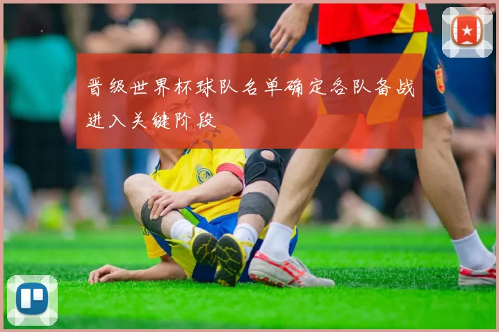 晋级世界杯球队名单确定各队备战进入关键阶段
