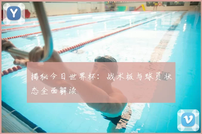 揭秘今日世界杯:战术板与球员状态全面解读