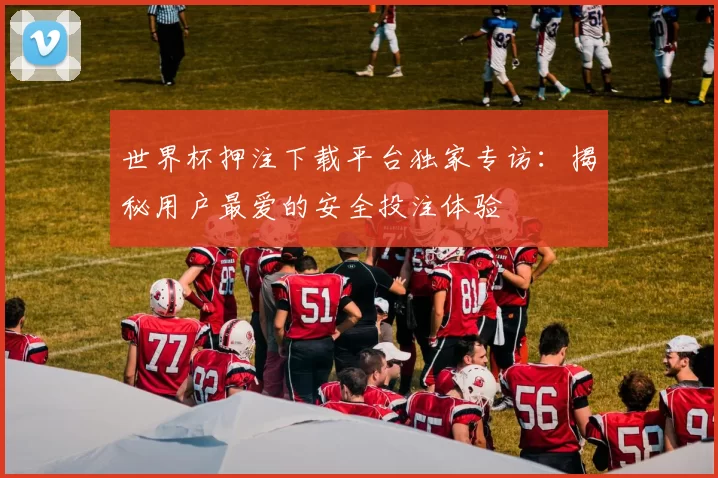 世界杯押注下载平台独家专访：揭秘用户最爱的安全投注体验
