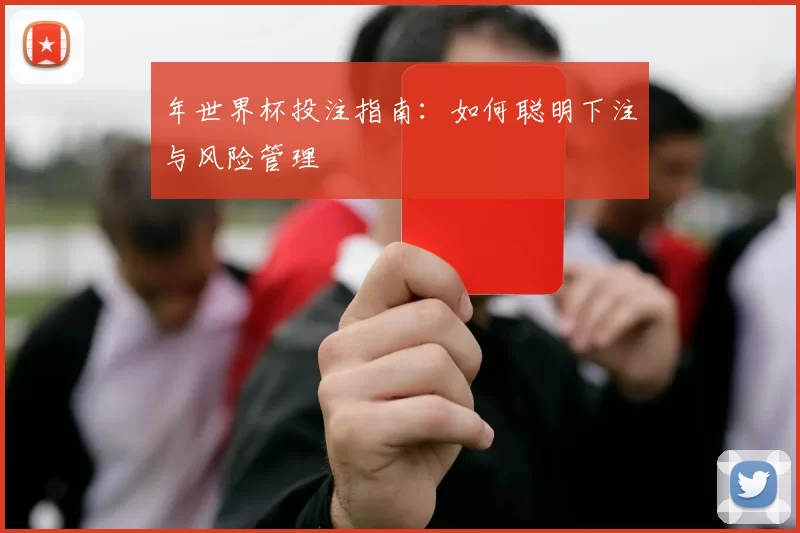 年世界杯投注指南:如何聪明下注与风险管理