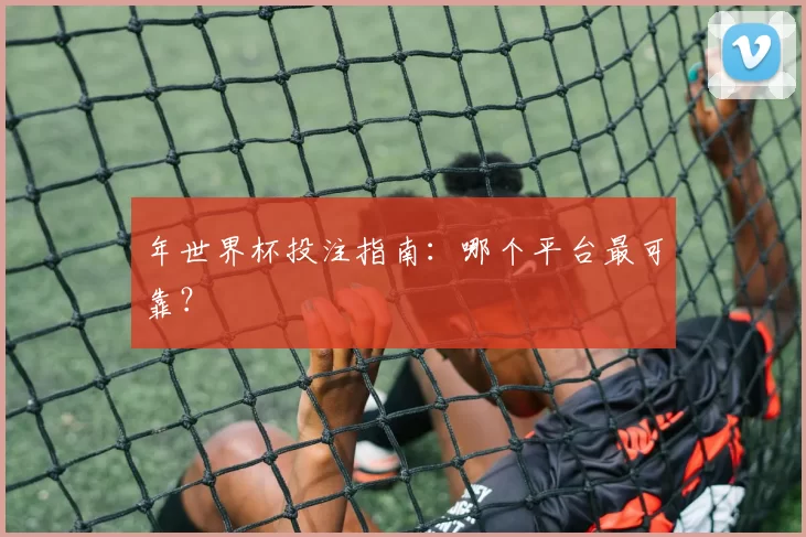 年世界杯投注指南：哪个平台最可靠？
