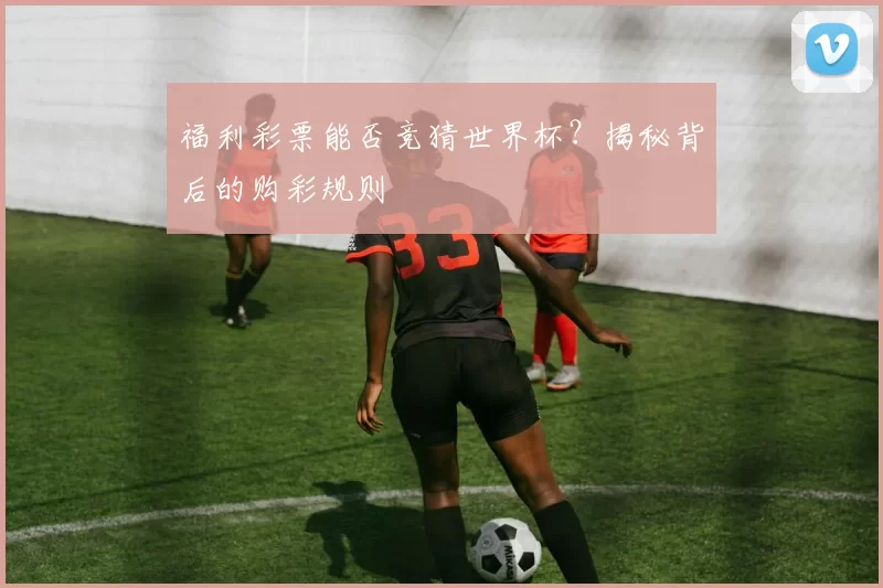 福利彩票能否竞猜世界杯?揭秘背后的购彩规则