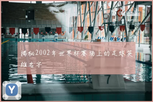 揭秘2002年世界杯赛场上的足球英雄名字