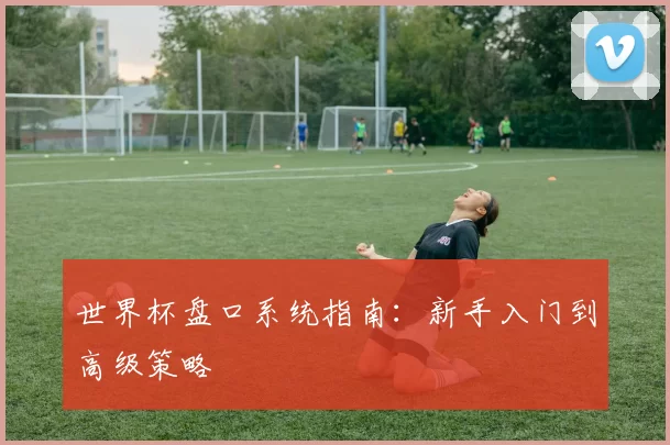 世界杯盘口系统指南:新手入门到高级策略