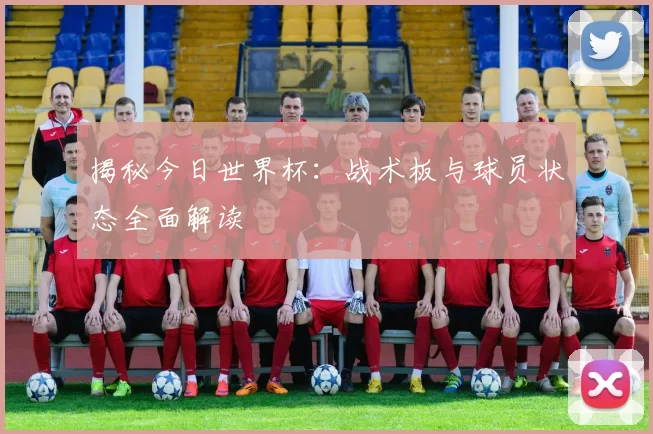 揭秘今日世界杯:战术板与球员状态全面解读